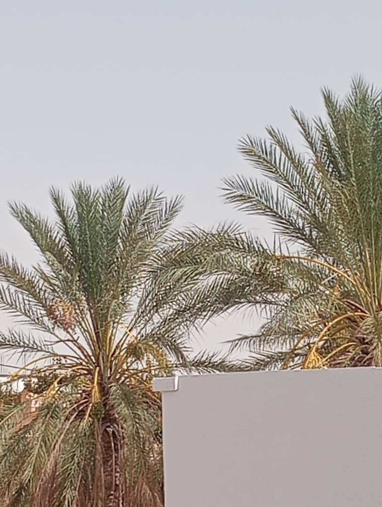 مدينة حاسي خليفة